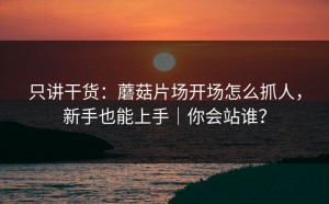 只讲干货：蘑菇片场开场怎么抓人，新手也能上手｜你会站谁？