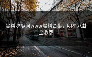 黑料吃瓜网www爆料合集，明星八卦全收录
