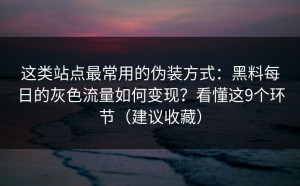 这类站点最常用的伪装方式：黑料每日的灰色流量如何变现？看懂这9个环节（建议收藏）