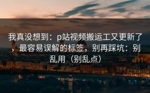 我真没想到：p站视频搬运工又更新了，最容易误解的标签，别再踩坑：别乱用（别乱点）