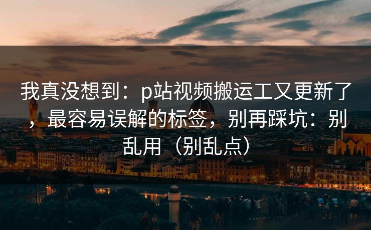 我真没想到:p站视频搬运工又更新了,最容易误解的标签,别再踩坑:别乱用(别乱点) 我真没想到:p站视频搬运工又更新了,最容易误解的标签,别再踩坑:别乱用(别乱点)
